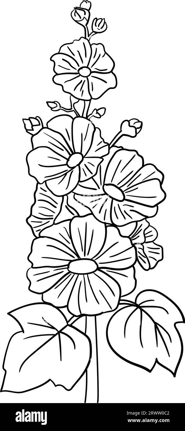 Hand drawn vector malva or alcea rosea flowers, vector illustration Stock Vector