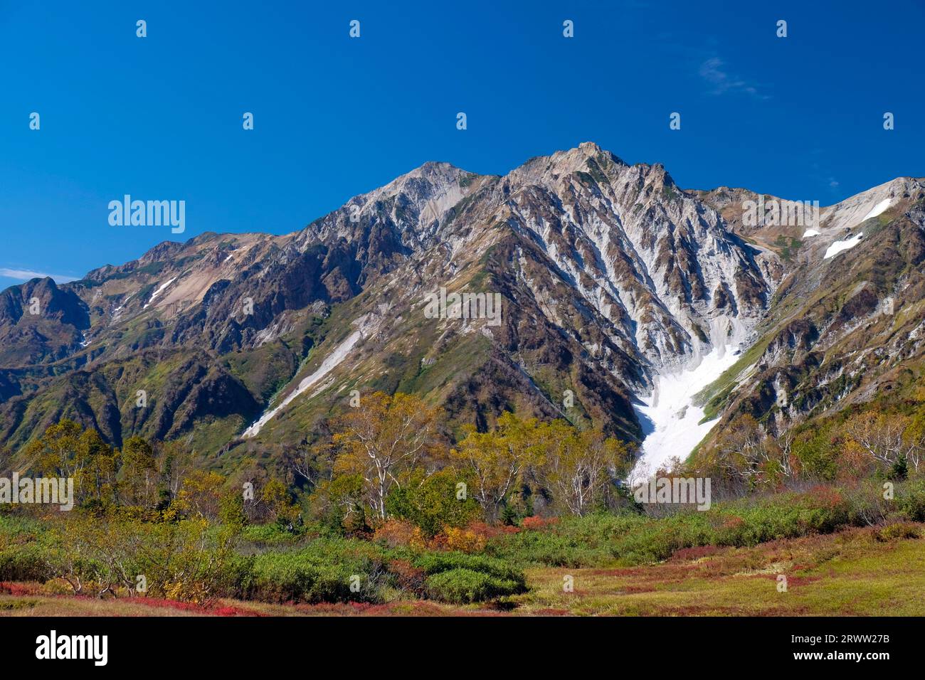 Great snow ravine in Hakuba Stock Photo - Alamy
