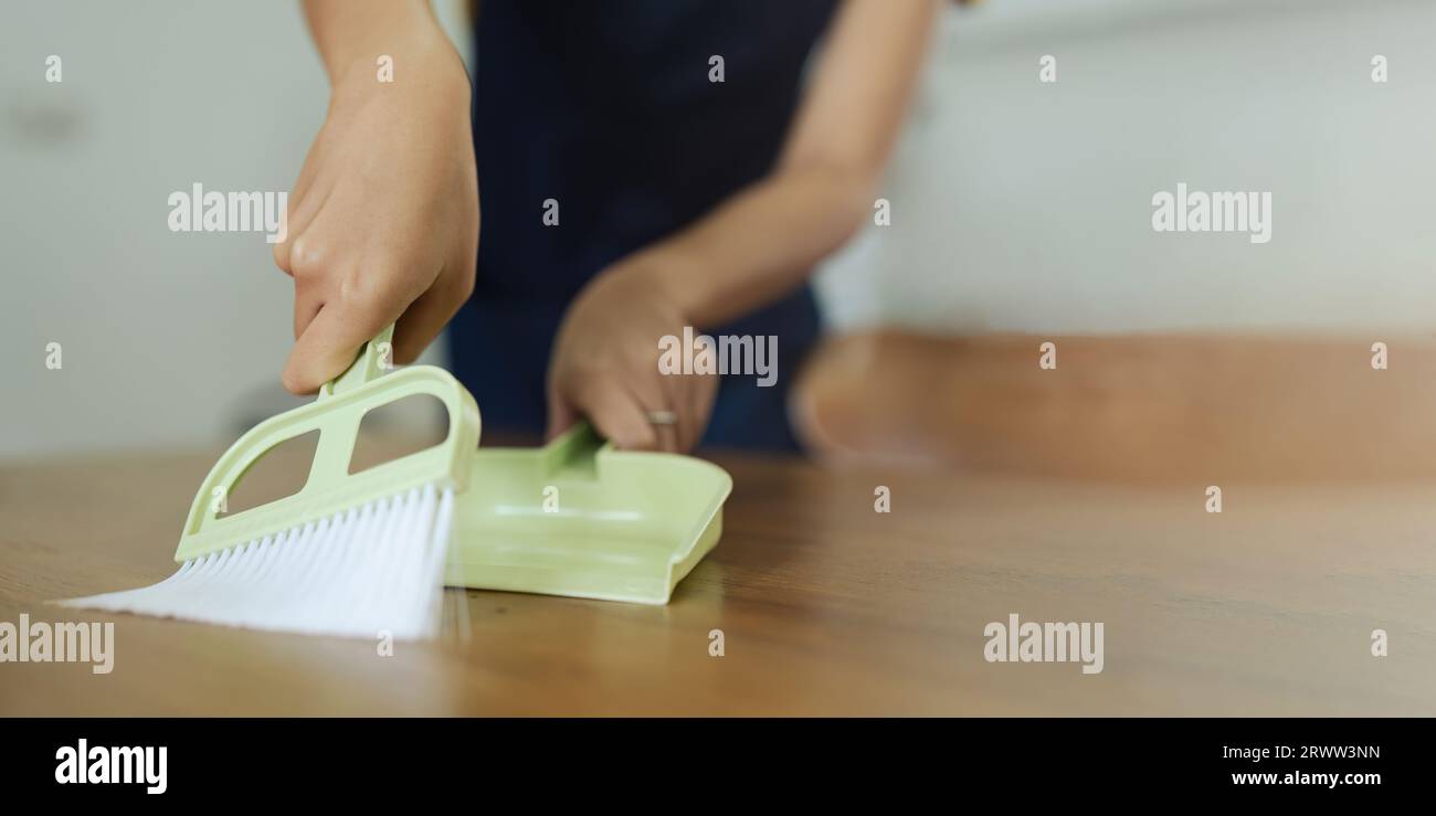 Hand Brush for the Floor Carpet. a Female Hand Cleans a Rug from Debris.  Stock Photo - Image of carpet, home: 186266750