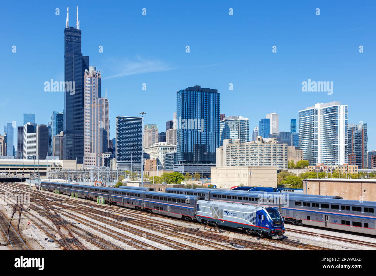 Chicago Midwest The Rare Disease Pivot: Why IgG4 Matters in the Windy City