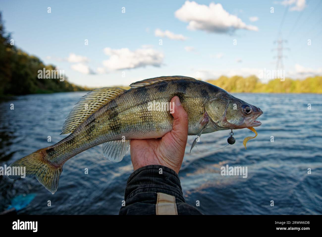 Soft plastic bait hi-res stock photography and images - Alamy