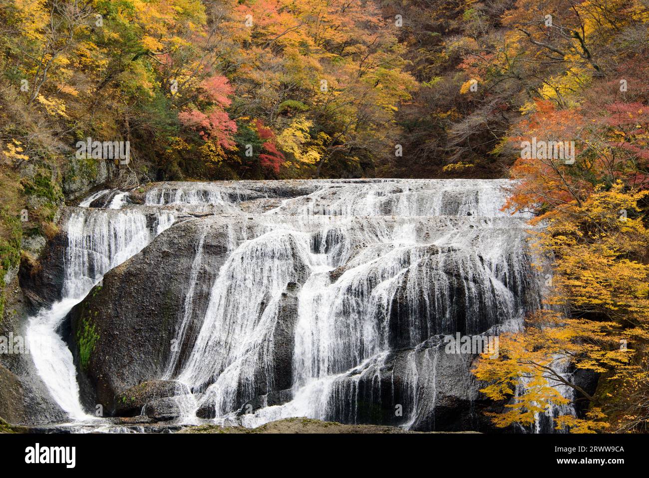 Autumn leaves of Fukuroda Falls Stock Photo - Alamy