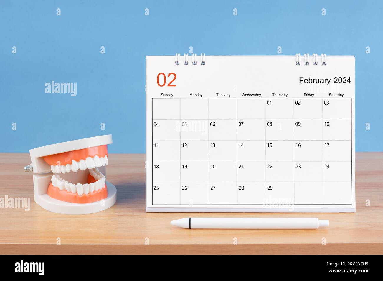 February monthly desk calendar for 2024 year and model dentures on the