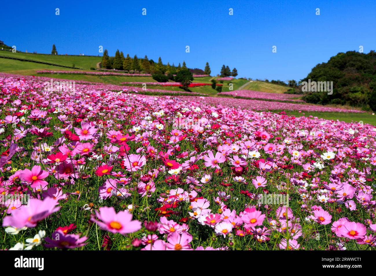 Awaji flower balcony hi-res stock photography and images - Alamy