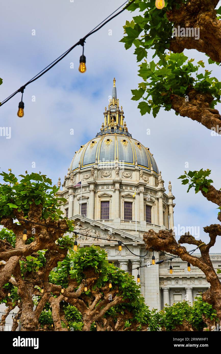 String lights through trees with San Francisco City Hall in background ...