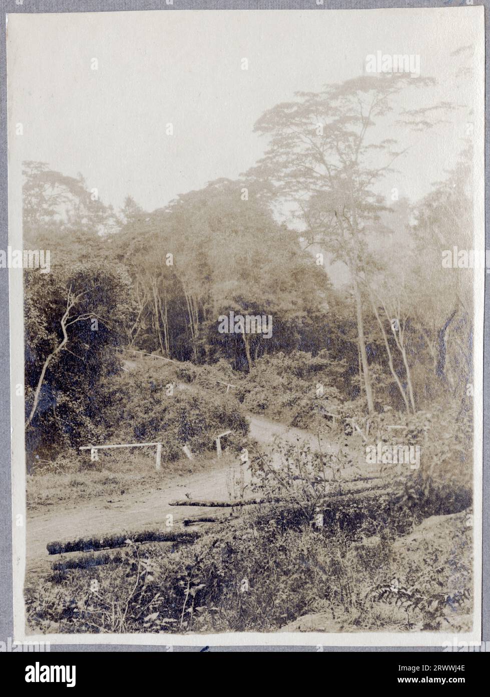 View of a river, taken from the right bank looking downstream as the river bends through some rapids, low hills in the background.  Original manuscript caption: Tana River 1916. Stock Photo