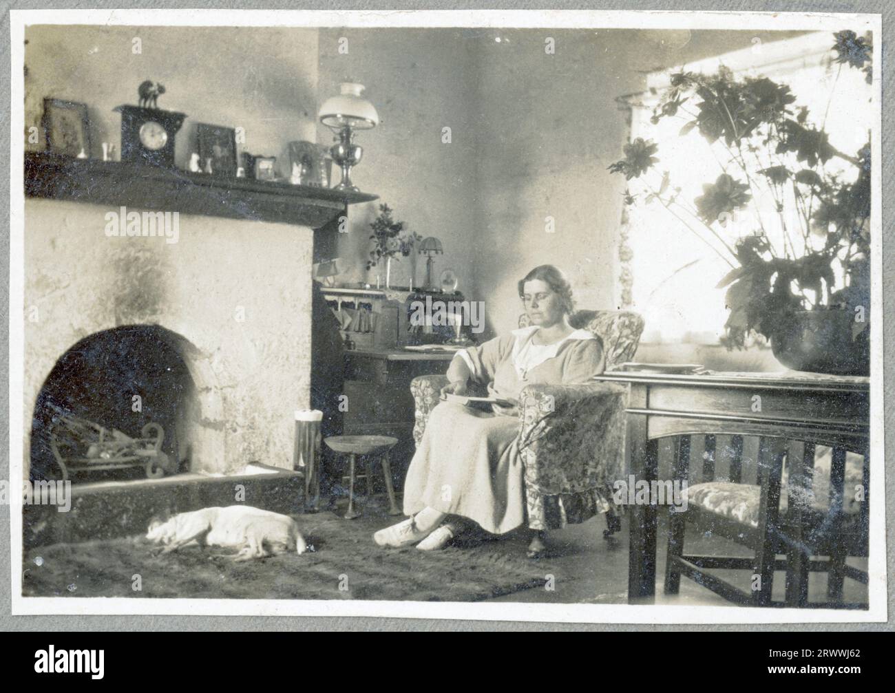 One of a series of five photos showing the interior of the Bungeys' Kabete sitting room, with large fireplace, writing desk, table and chairs. This image shows May Bungey sitting in an armchair. A dog is asleep in front of the fireplace.  Original manuscript caption: Interior of Sitting Room, Kabete 1924. Stock Photo