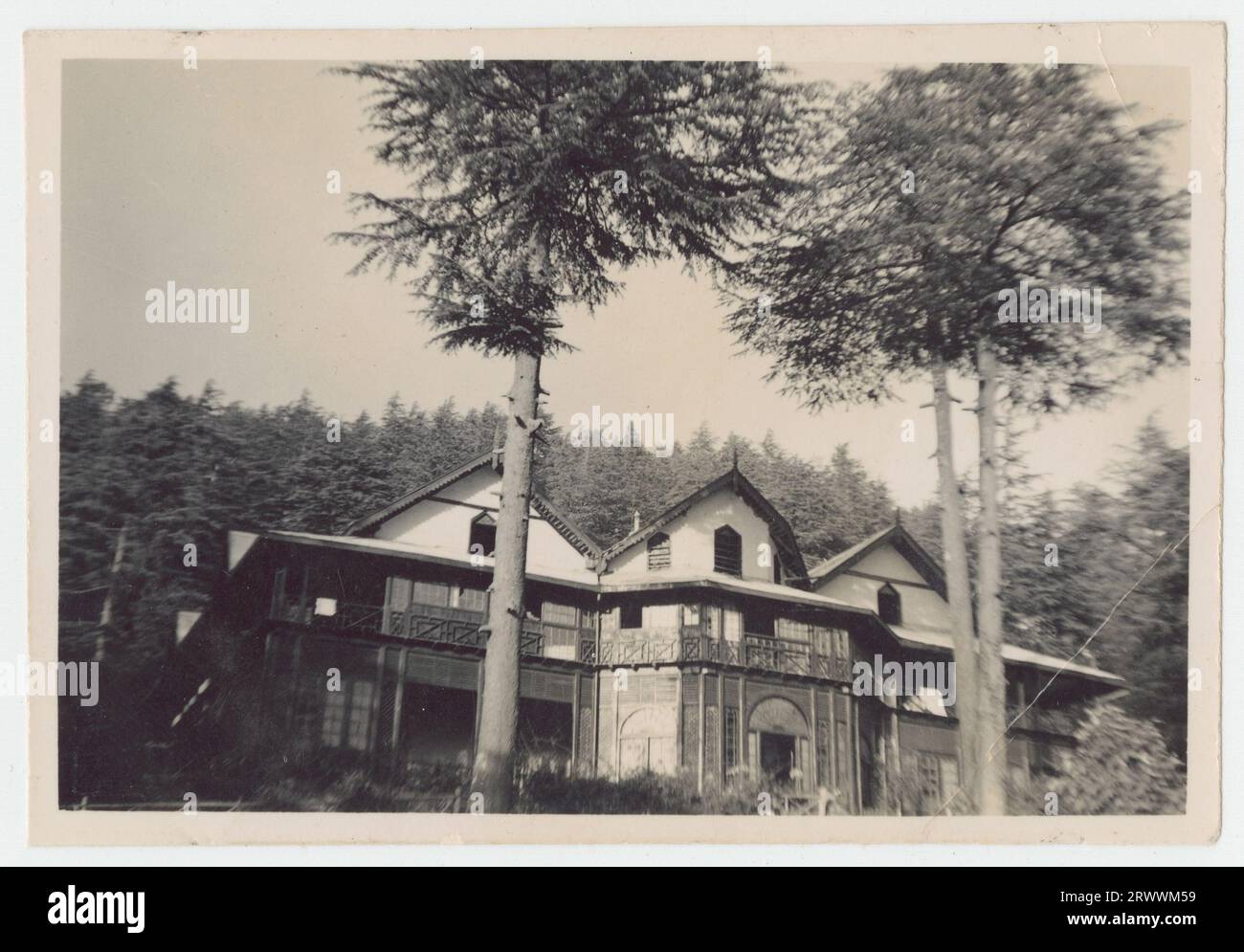 Large trees and house hi-res stock photography and images - Alamy