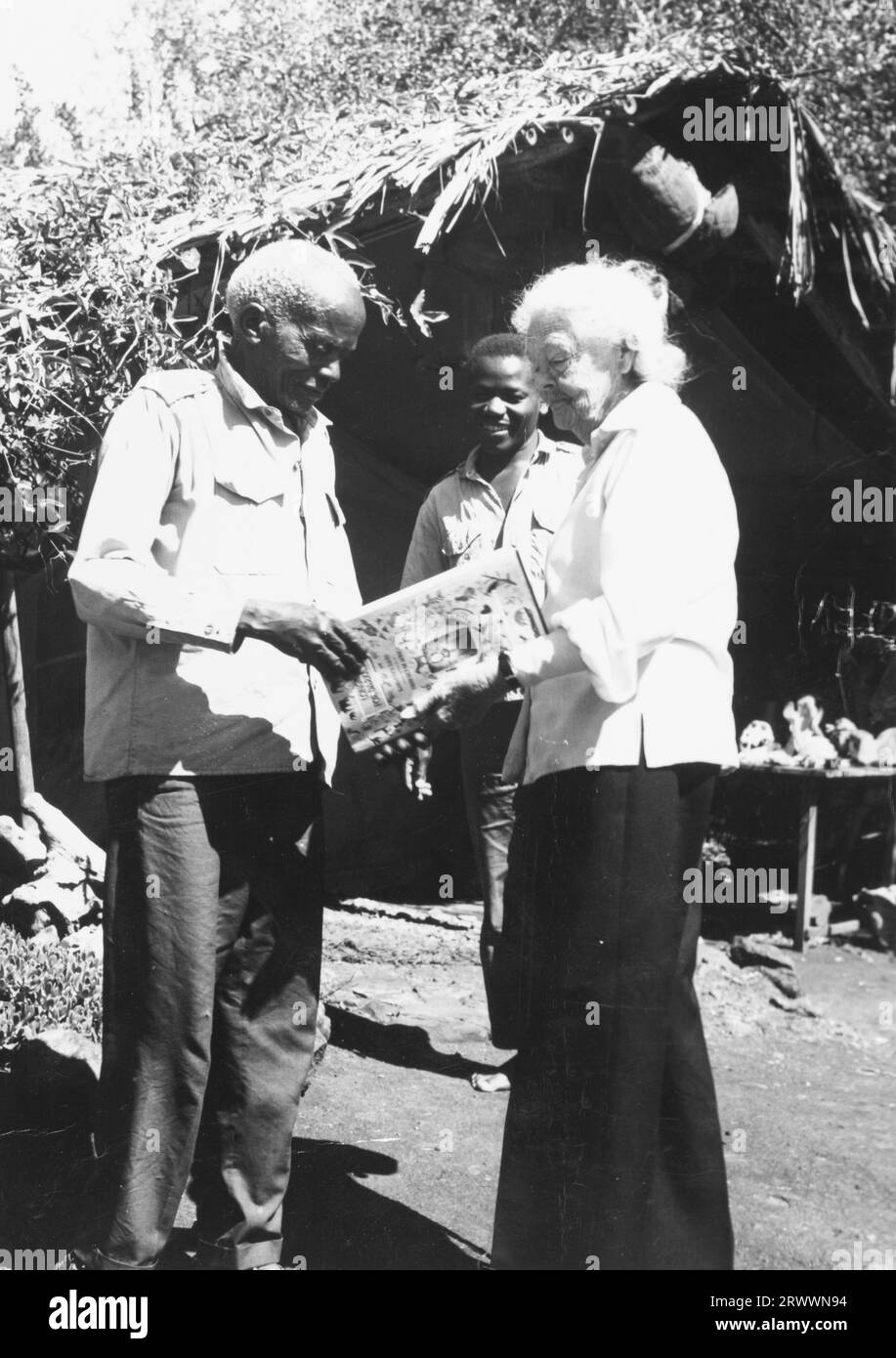 Kamante, once head servant and cook for Baroness Karen Blixen, shows his newly published book, 'Longing for Darkness', to Ingrid Lindstrom, a close friend of Blixen and the Grant family. The book reflects Blixen's (aka Isak Dinesen's) famous novel 'Out of Africa', in which Kamante is a character, but is written from Kamante's point of view and enhanced with drawings and letters. Kamante later played a small part as an elder in the television adaptation of The Flame Trees of Thika. Stock Photo