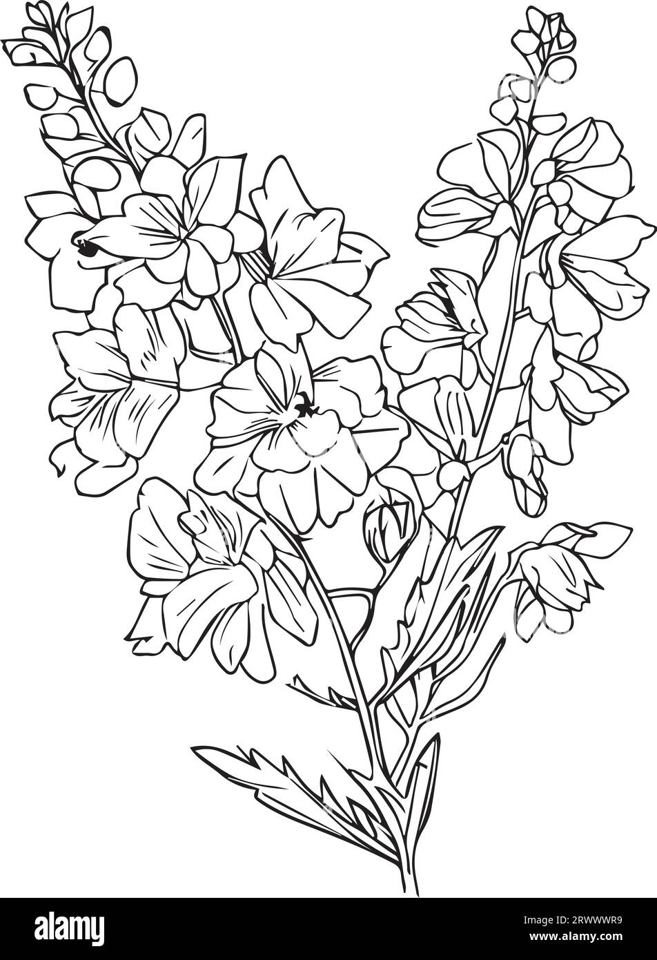 Print July Birth Flower Art, sketch larkspur line drawing, water lily