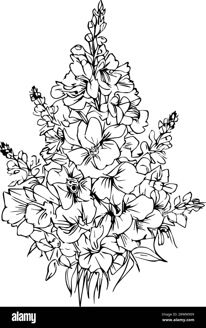 Birth flower for the month of july Stock Vector Images Alamy