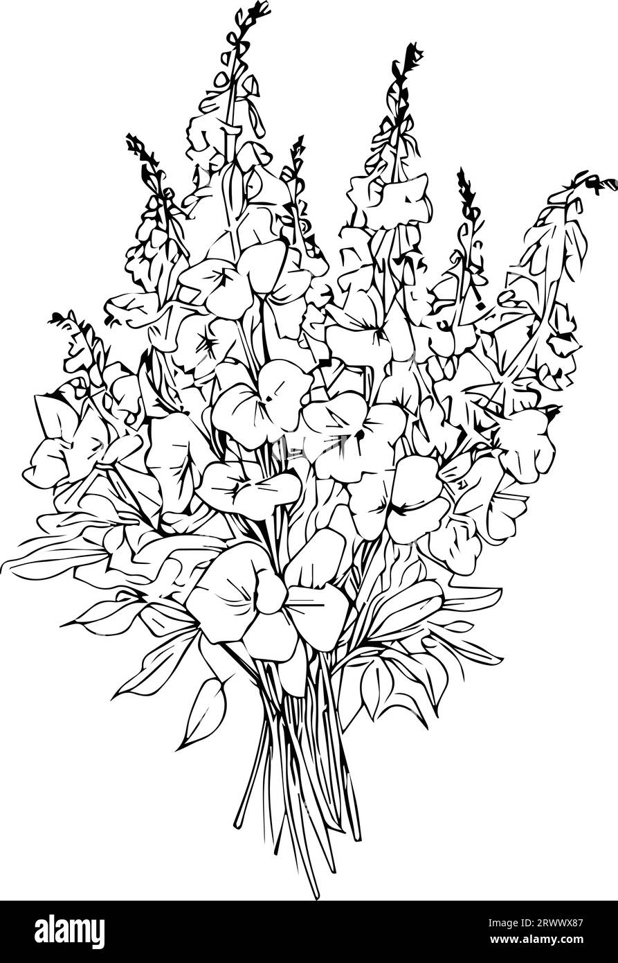 simple larkspur flower drawing, Larkspur Delphinium Print, Printable