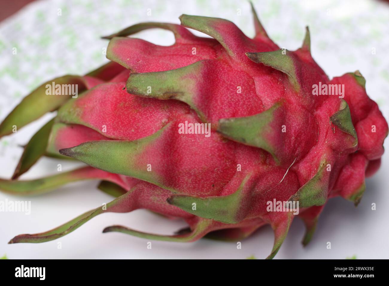 Large Pink dragon fruit images Stock Photo Alamy