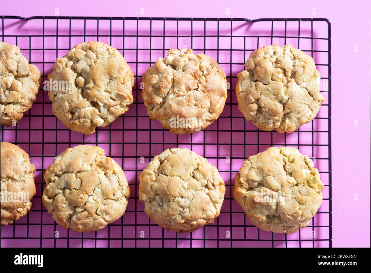 A batch of homemade New York style peanut butter Chip Cookies. They're