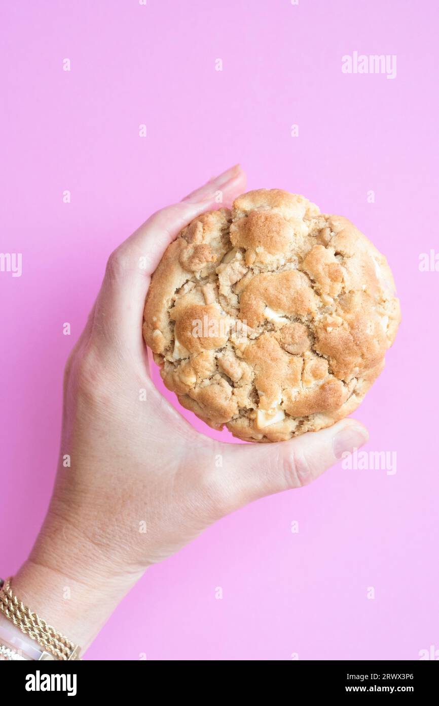 A woman holding a homemade New York style peanut butter Chip Cookie. Its a  large cookie with a  crisp outer crust and soft centre. Stock Photo