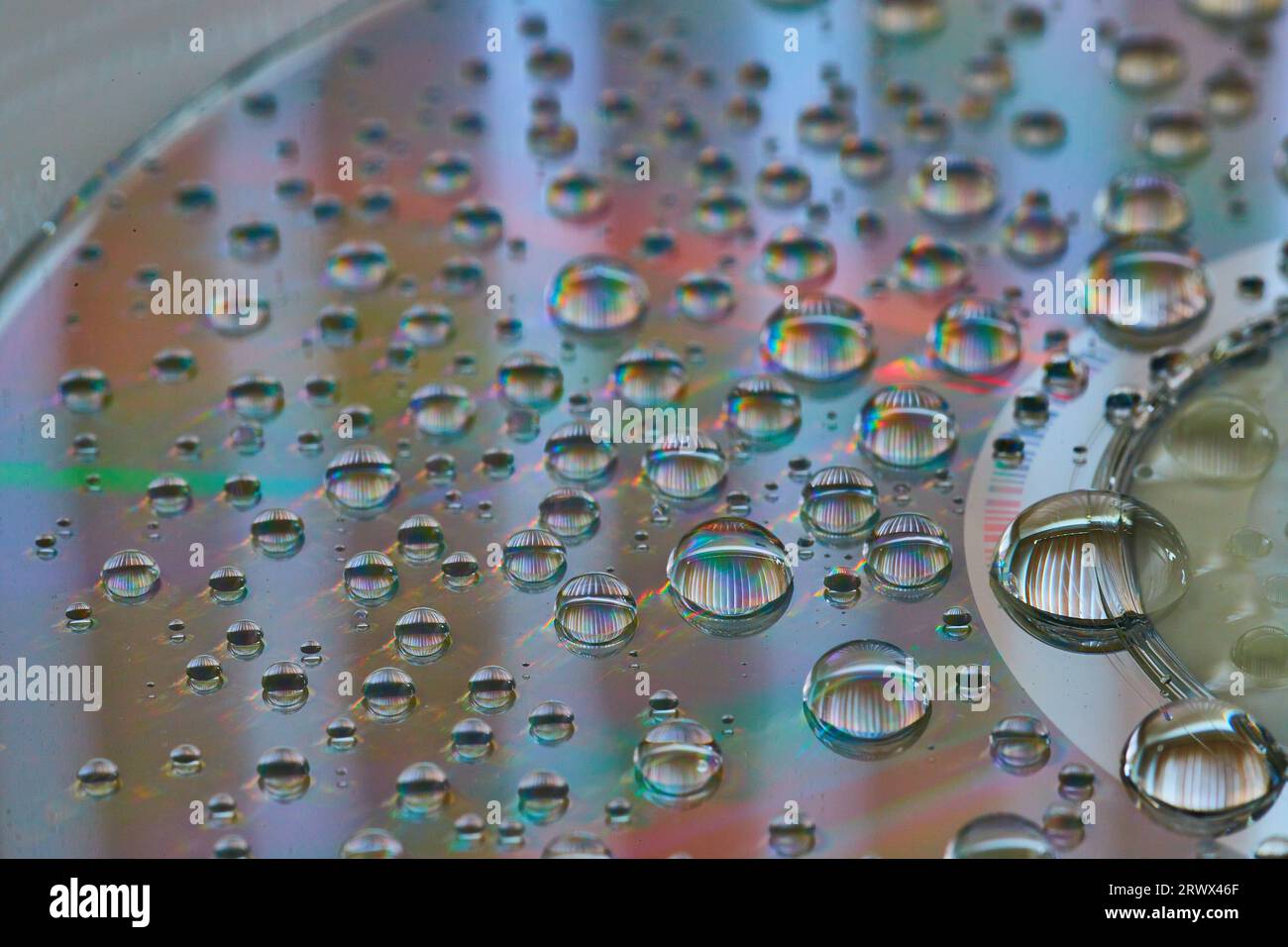 Side view of rainbow water drops in macro view of metallic surface abstract background asset Stock Photo