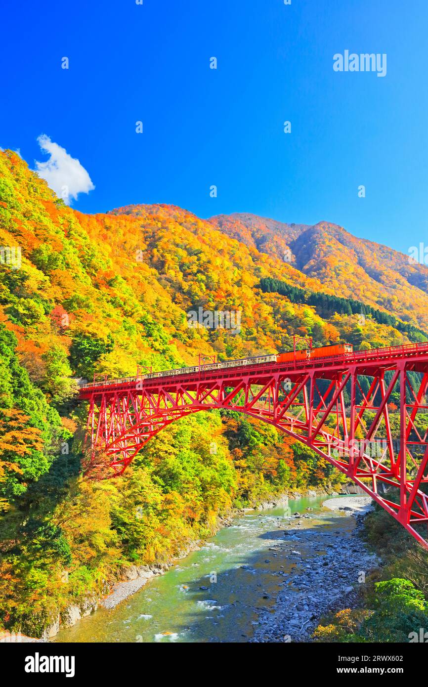 Kurobe Trolley train in autumn and the mountain range with autumn