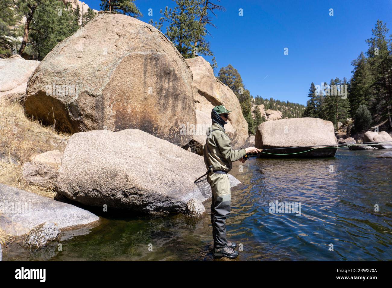 Fly fishing rod with cork handle grip and a left hand retrieve fly fishing  reel spooled with fly line Colorado USA Stock Photo - Alamy