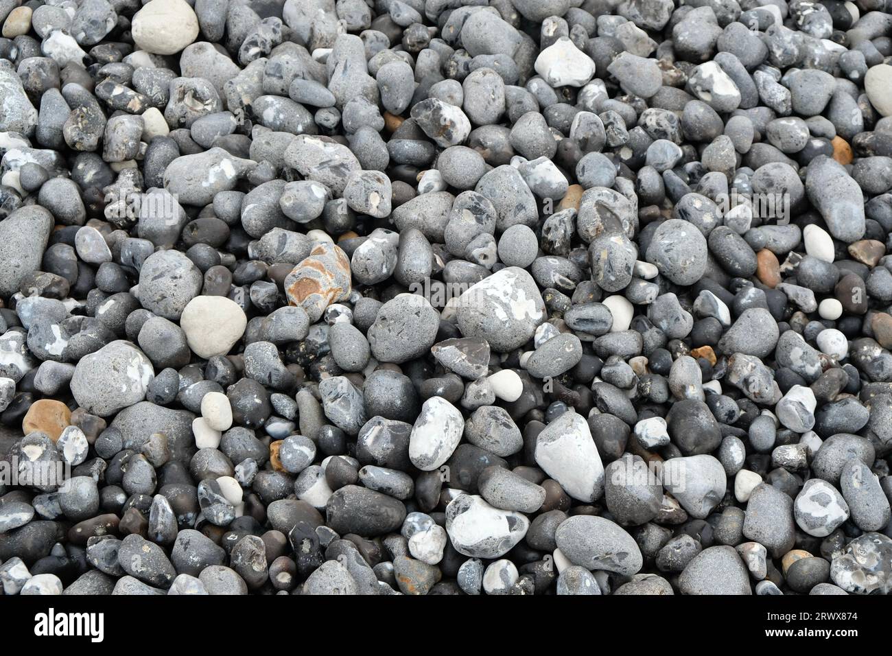 Stone Beach at Eastbourne Stock Photo