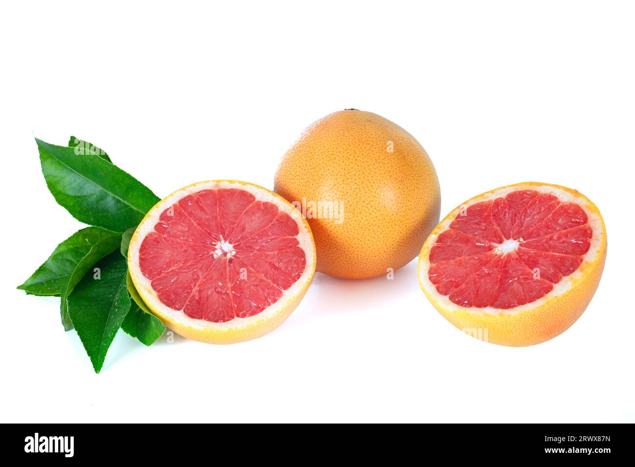pink grapefruit in front of white background Stock Photo Alamy