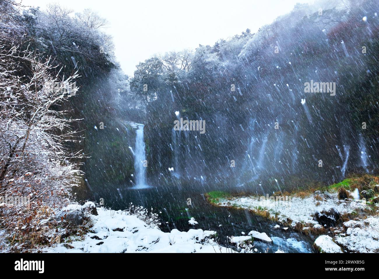 Snow at Shiraito Falls in winter Stock Photo - Alamy