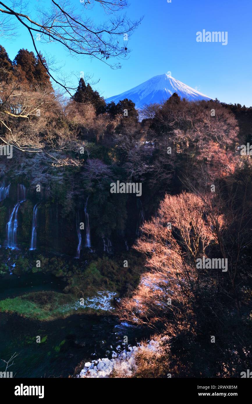 Shiraito Falls in winter with snow and Mt. Fuji Stock Photo - Alamy