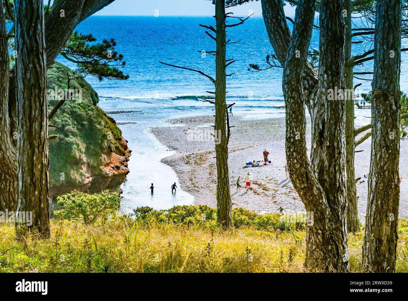 The Otter Eastuary at Budleigh Salterton Stock Photo Alamy