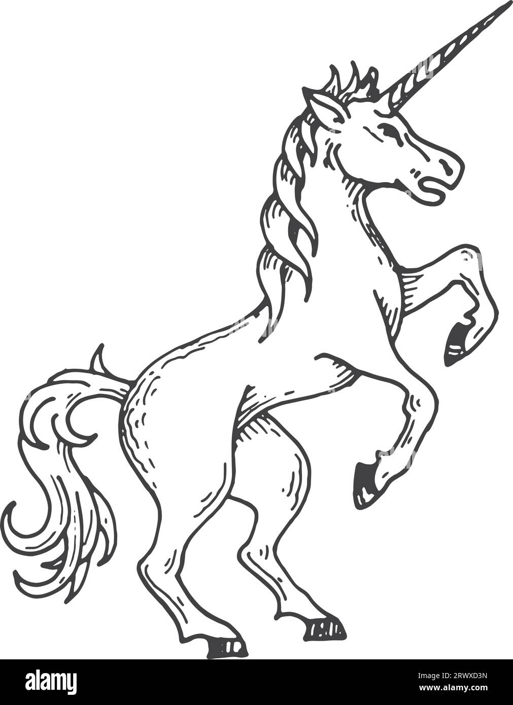 Dragon Crest Magical Unicorn – Fermalibri Decorativo In Poliresina – Multicolore