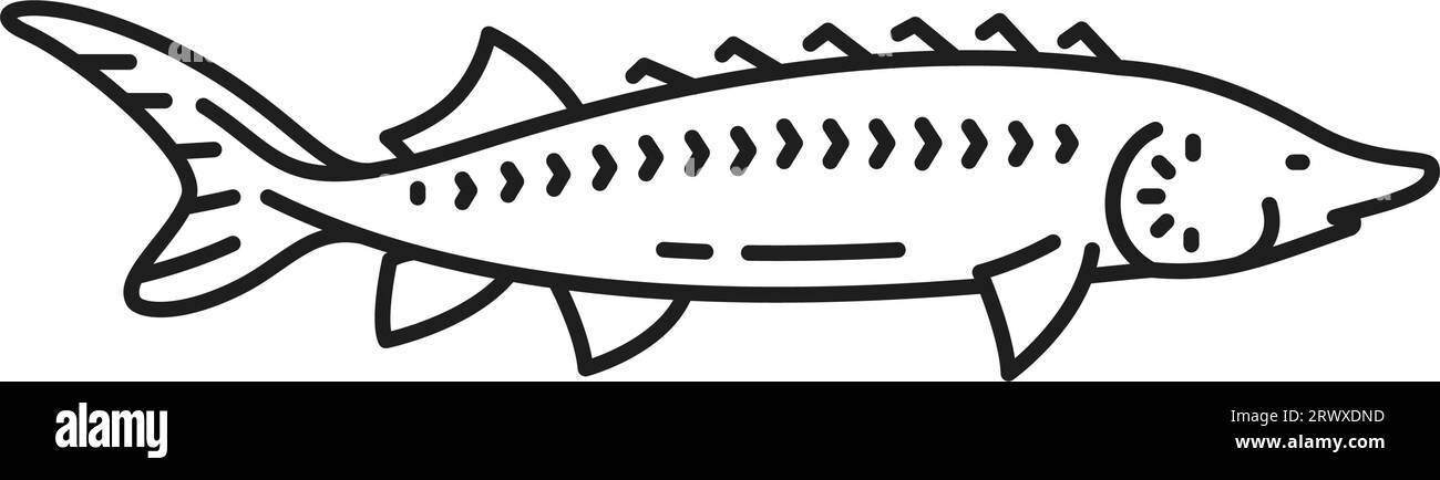 Bluefish mascot isolated tuna fishing industry mascot. Vector fishing sport emblem, atlantic sardine, mackerel with flounders. Scombridae saltwater fish Stock Vector