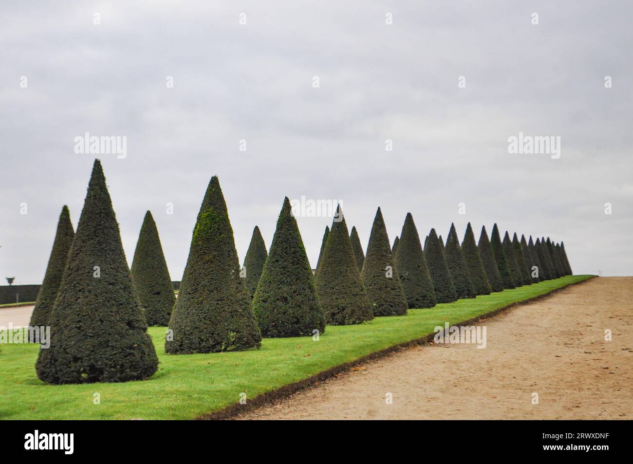 Conical shaped evergreen trees on a manicured lawn in the Palace of ...