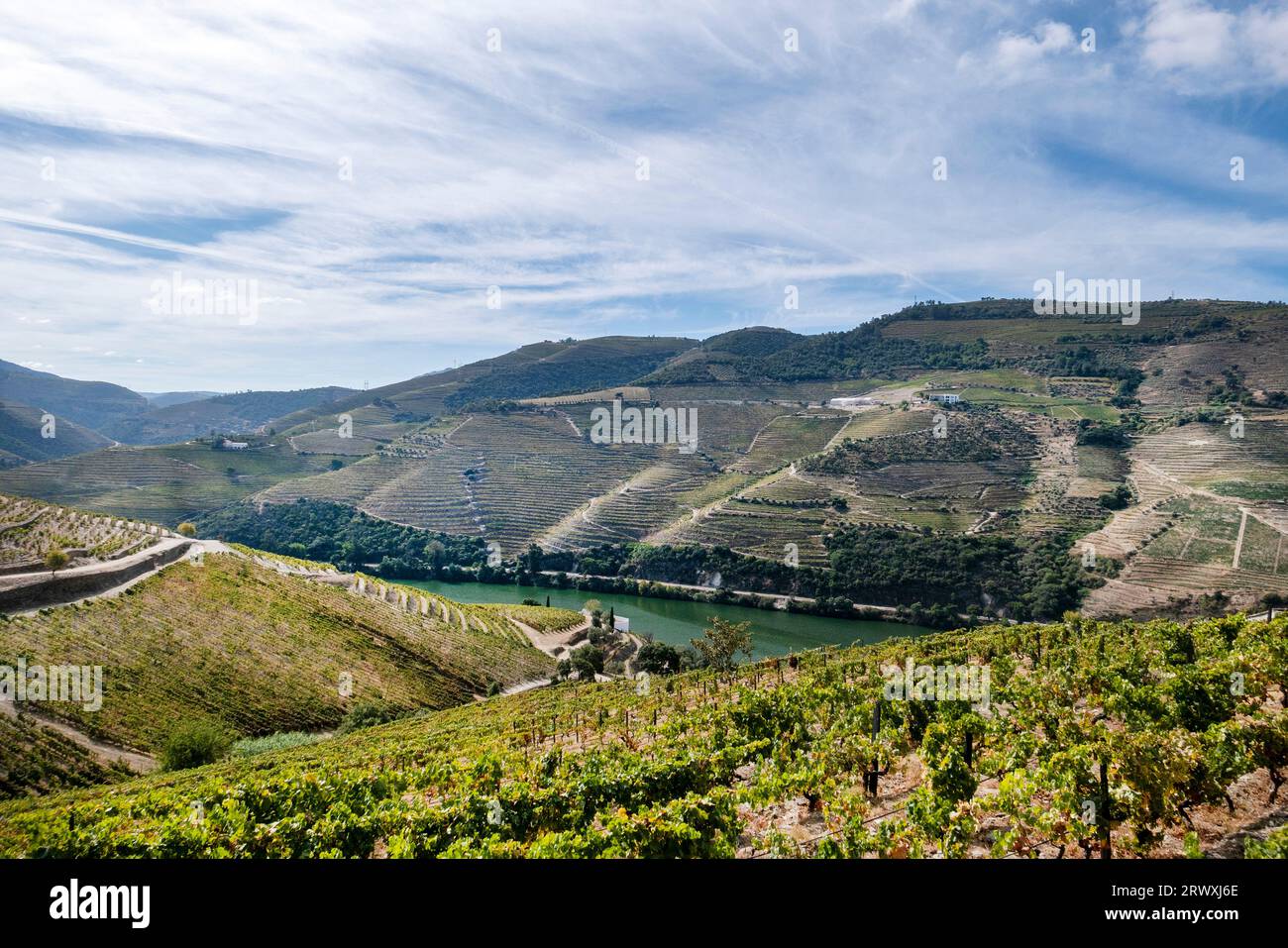 Vineyards along Douro River, Covas do Douro, Sabrosa, Portugal Stock Photo