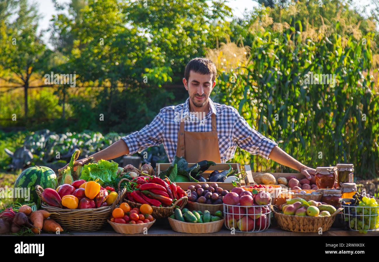 The farmer sells fruits and vegetables at the farmers market. Selective ...