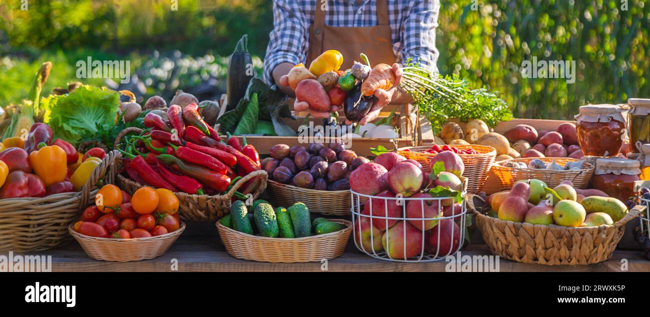 The farmer sells fruits and vegetables at the farmers market. Selective ...