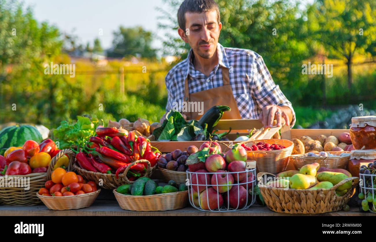 The farmer sells fruits and vegetables at the farmers market. Selective ...