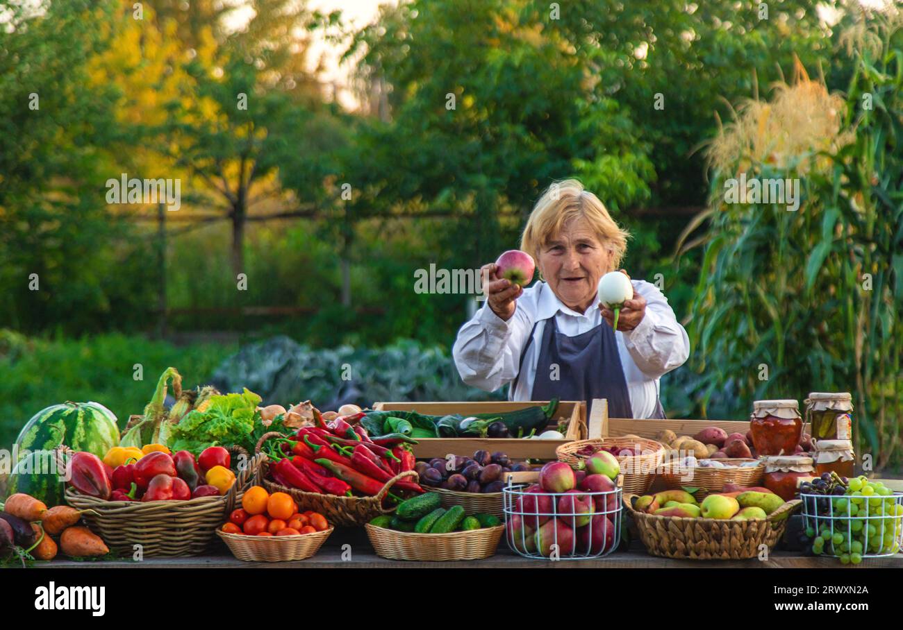 old woman farmer sells vegetables and fruits at the farmers market ...