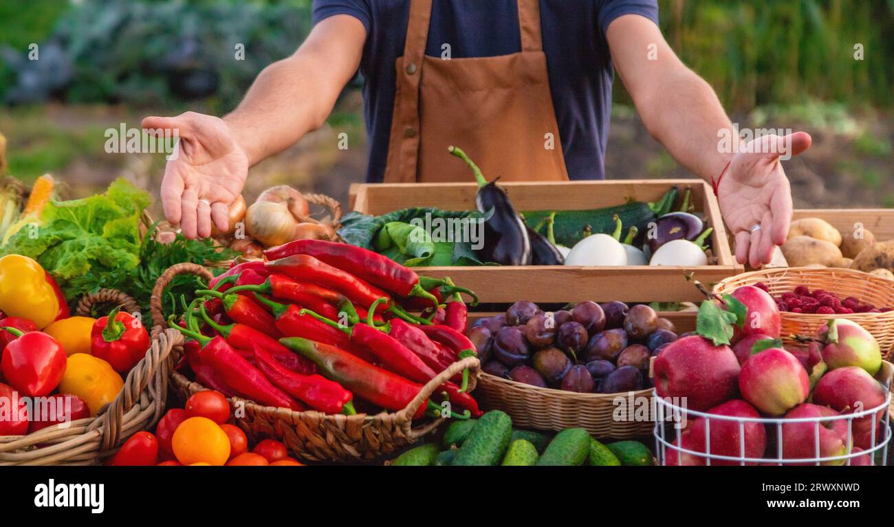 The farmer sells fruits and vegetables at the farmers market. Selective ...