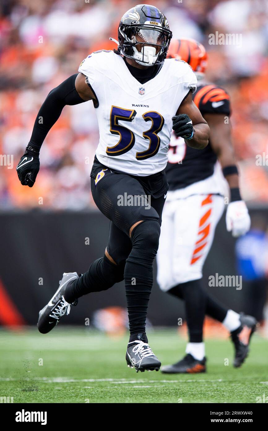 Baltimore Ravens linebacker Del'Shawn Phillips (53) runs for the play