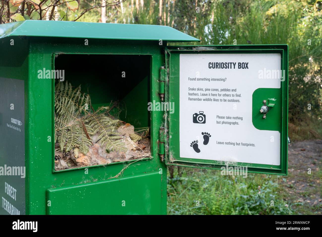 Repurposed green electrical box in Bucklers Forest, Crowthorne, Berkshire, England, UK, being used as a nature curiosity box Stock Photo