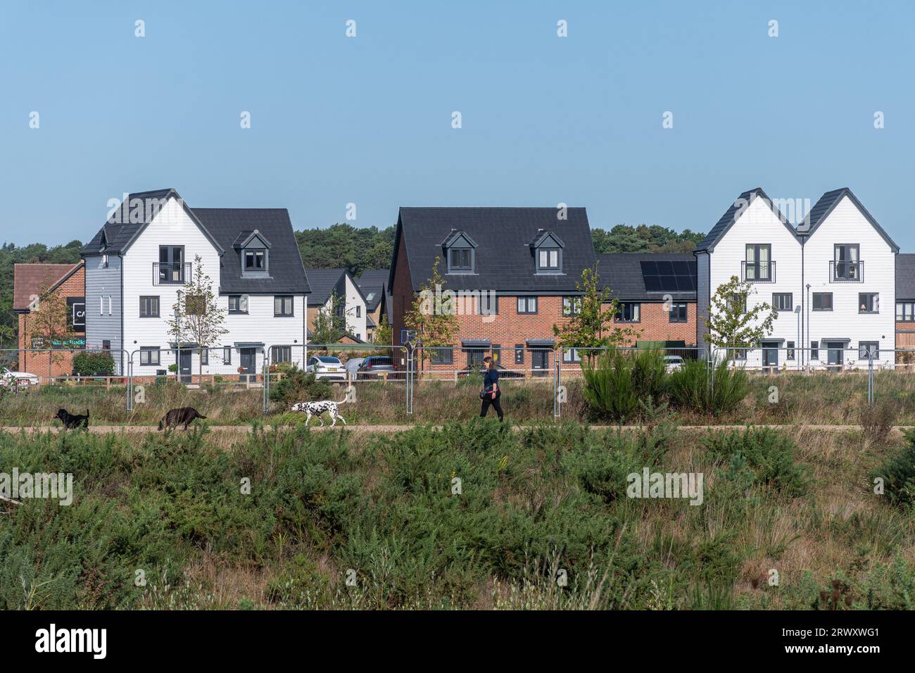 View of Bucklers Park, a new housing development, from Bucklers Forest