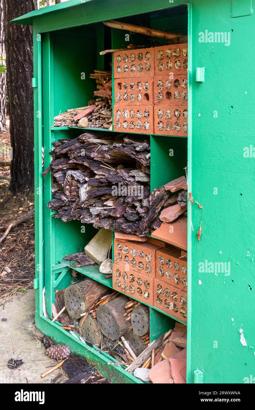 Repurposed old green electrical box in Bucklers Forest, Crowthorne, Berkshire, England, UK, being used as an insect habitat Stock Photo