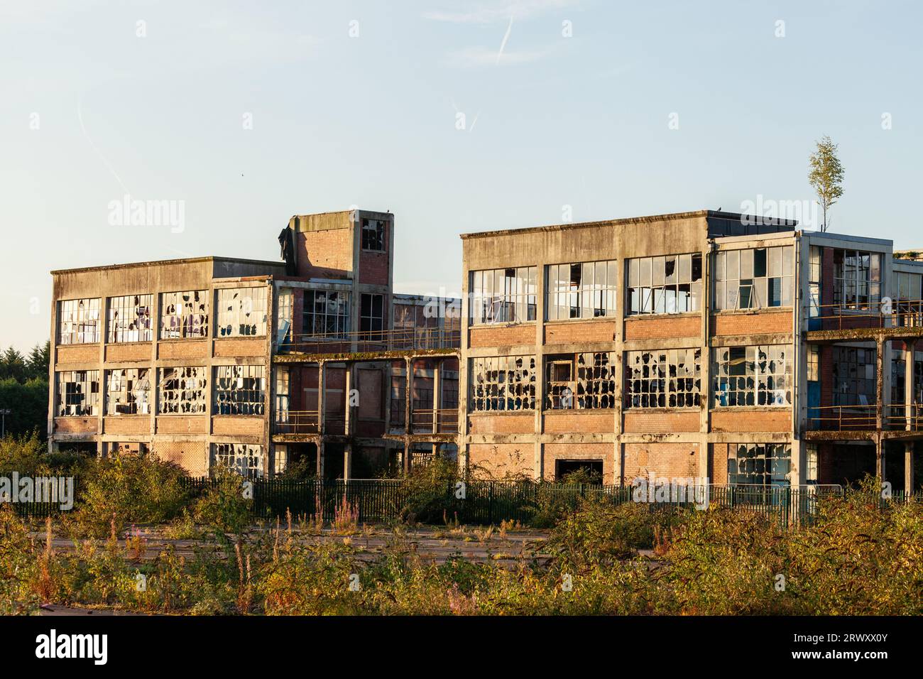 Former Gates Rubber Factory building in Dumfries Stock Photo Alamy