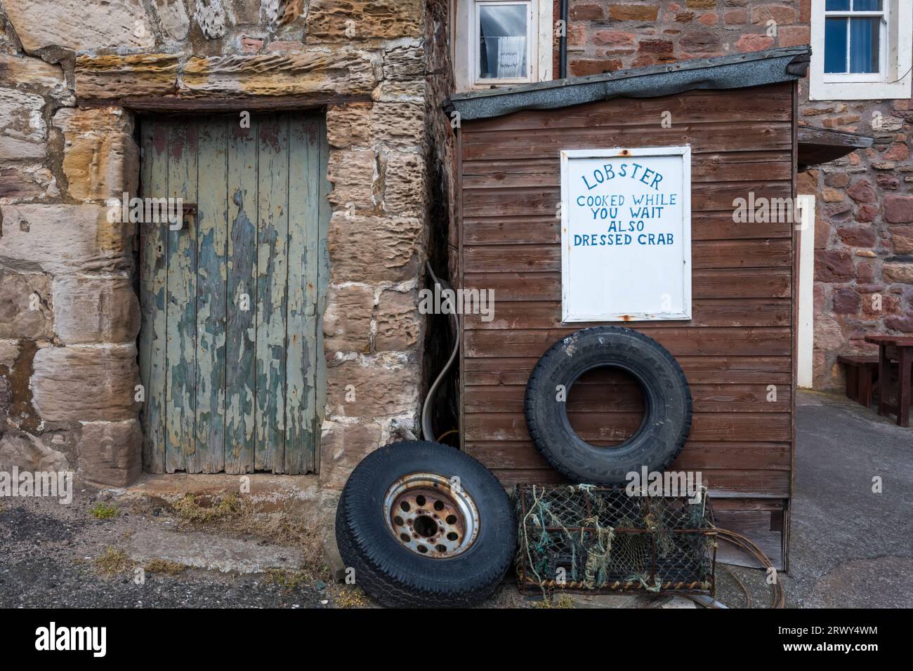 Lobster cooked while you wait sign on a harbour shack at Crail in the East Neuk of Fife, Scotland. Stock Photo