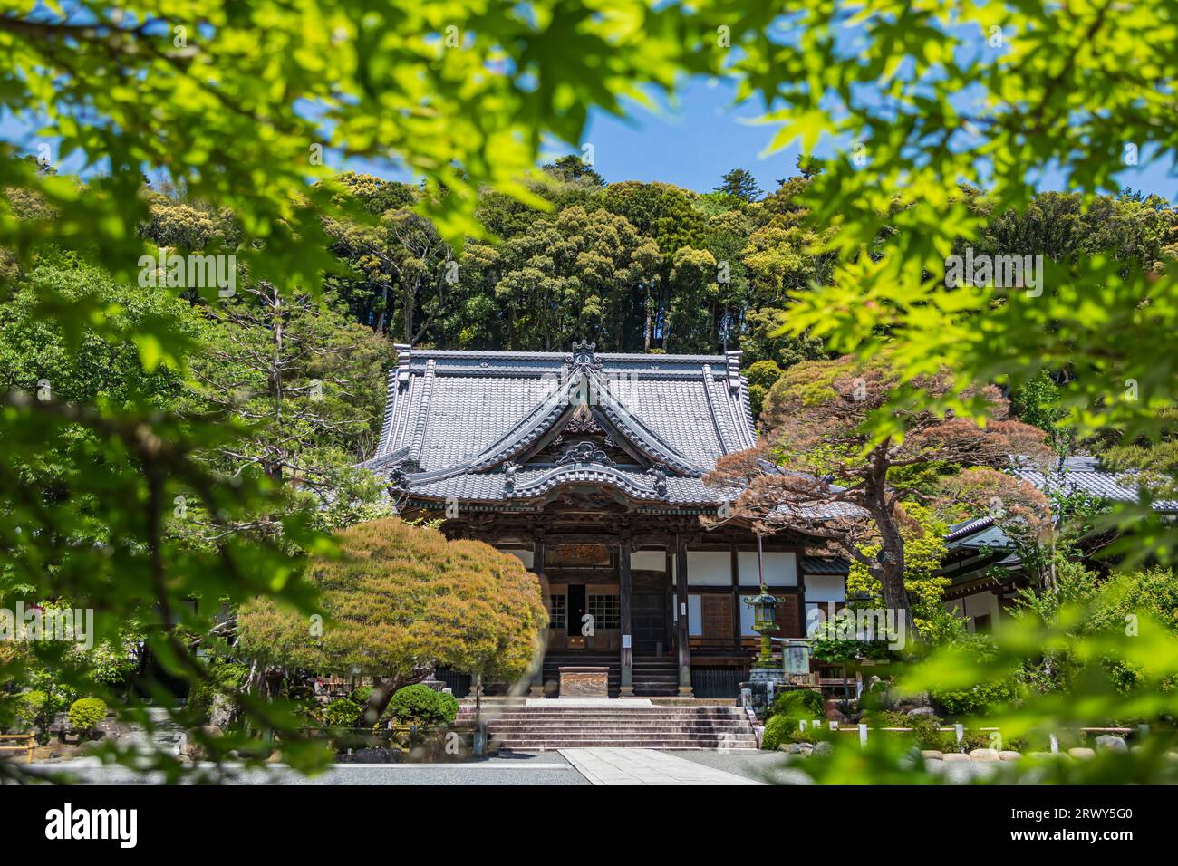 izu-shuzenji-tourist-attractions-shuzenji-main-hall-welcoming-blue