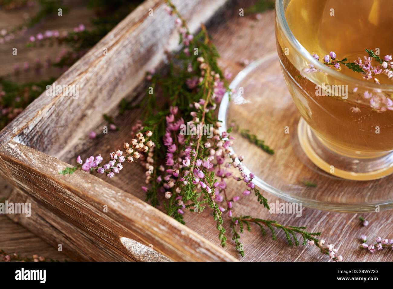 Fresh wild heather flowers with a cup of herbal tea on a wooden tray Stock Photo