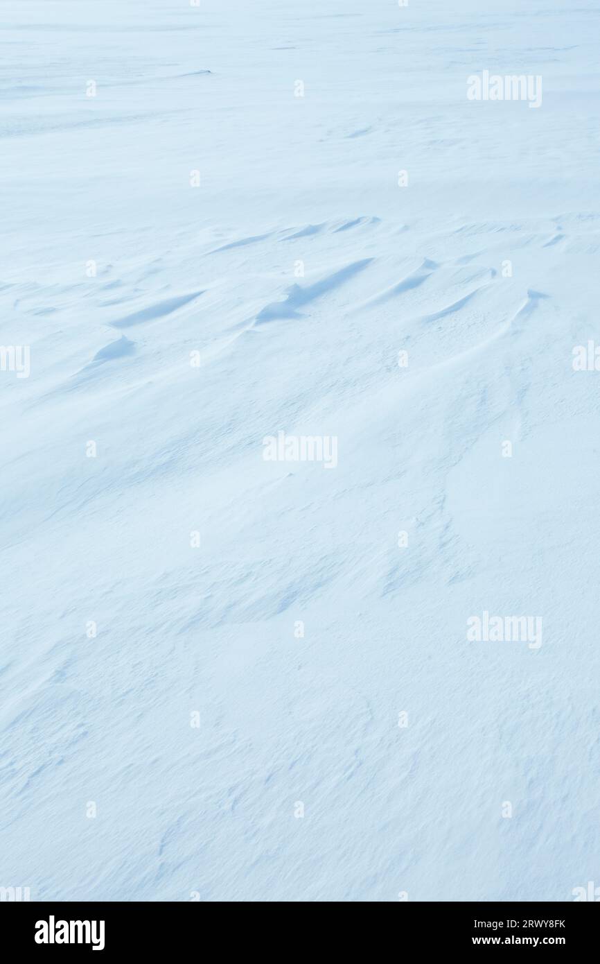 Wind ripples on the snowfield Stock Photo - Alamy