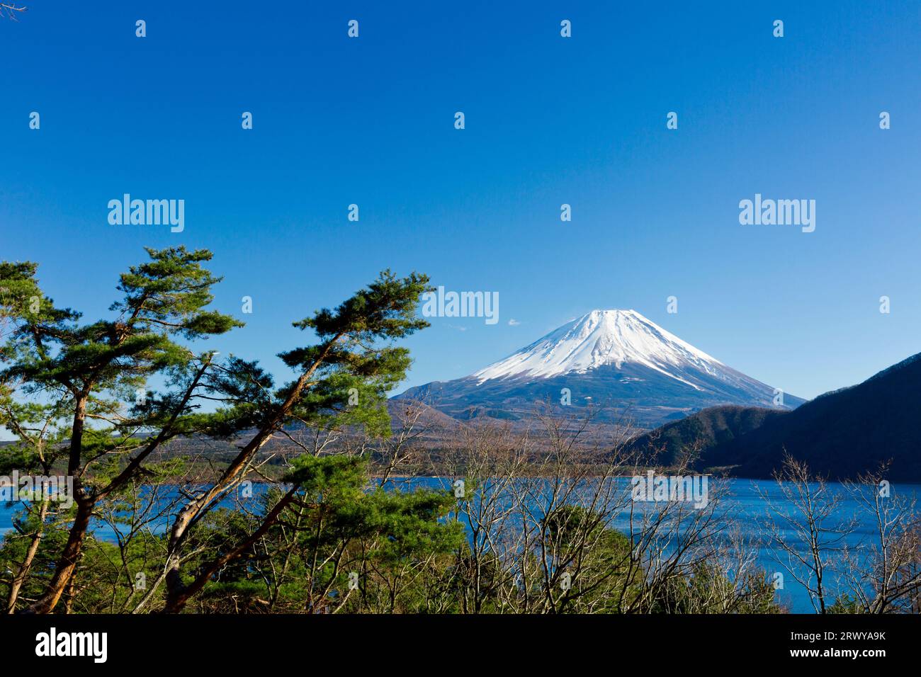 Lake Motosu Mt. Fuji Stock Photo - Alamy