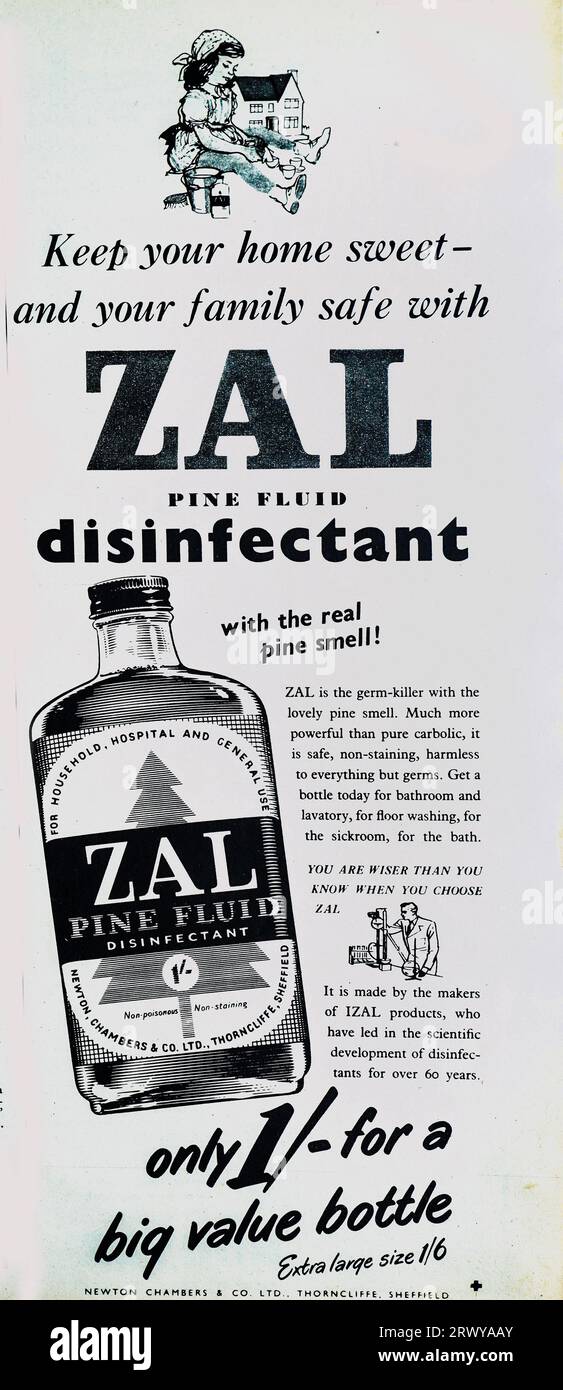 A 1950 advertisement for Zal pine fluid disinfectant, manufactured by Newton Chambers & Co Ltd., Thorncliffe, Sheffield. Newton, Chambers & Co. was once one of England's largest industrial companies and survived into the 1970s when it changed hands. At one time Robert Maxwell owned the company. By 2001 the company had ceased trading. Stock Photo