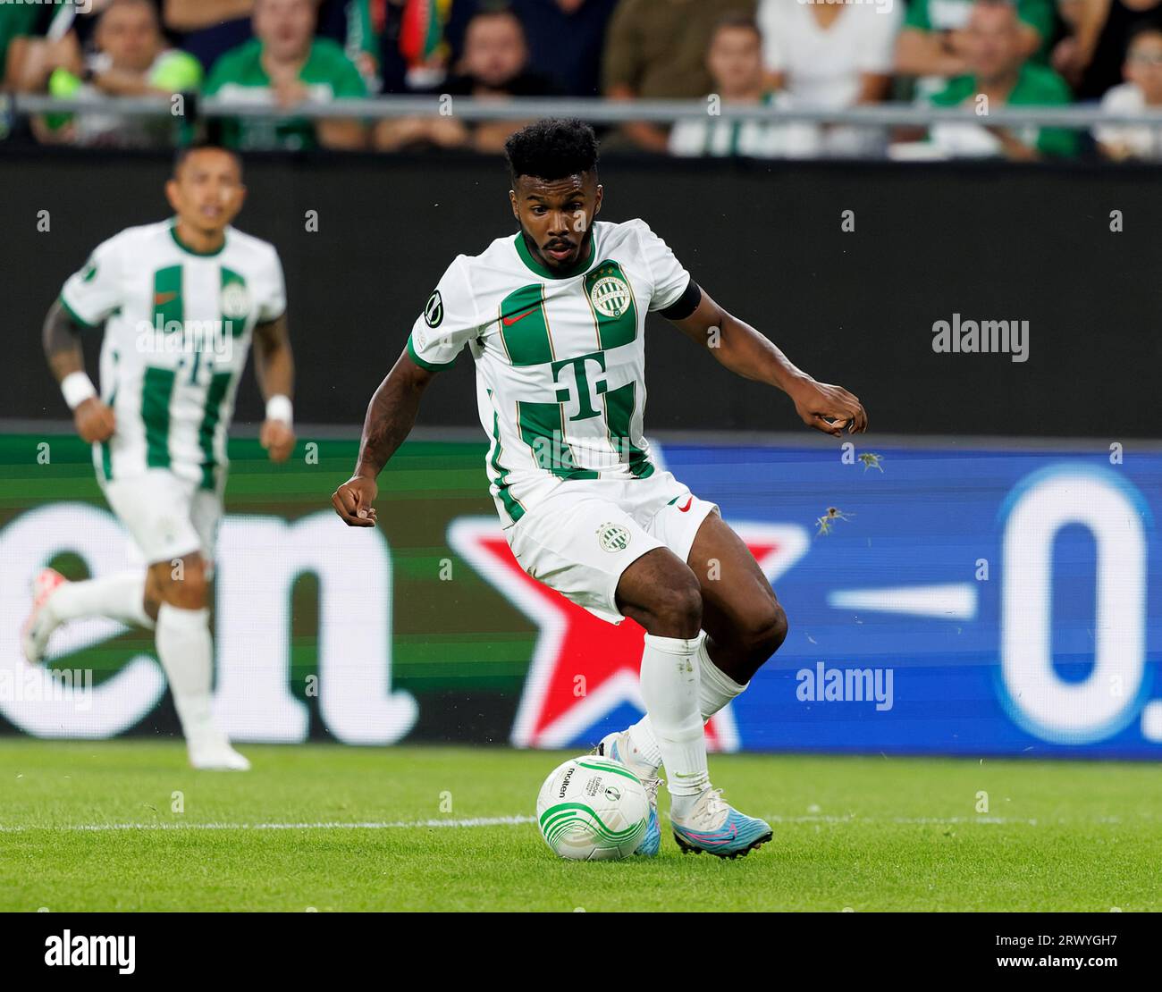 Budapest, Hungary. 21st September, 2023. Dejan Stankovic, head coach of Ferencvarosi  TC reacts during the UEFA Europa Conference League 2023/24 Group F match  between Ferencvarosi TC and FK Cukaricki at Groupama Arena