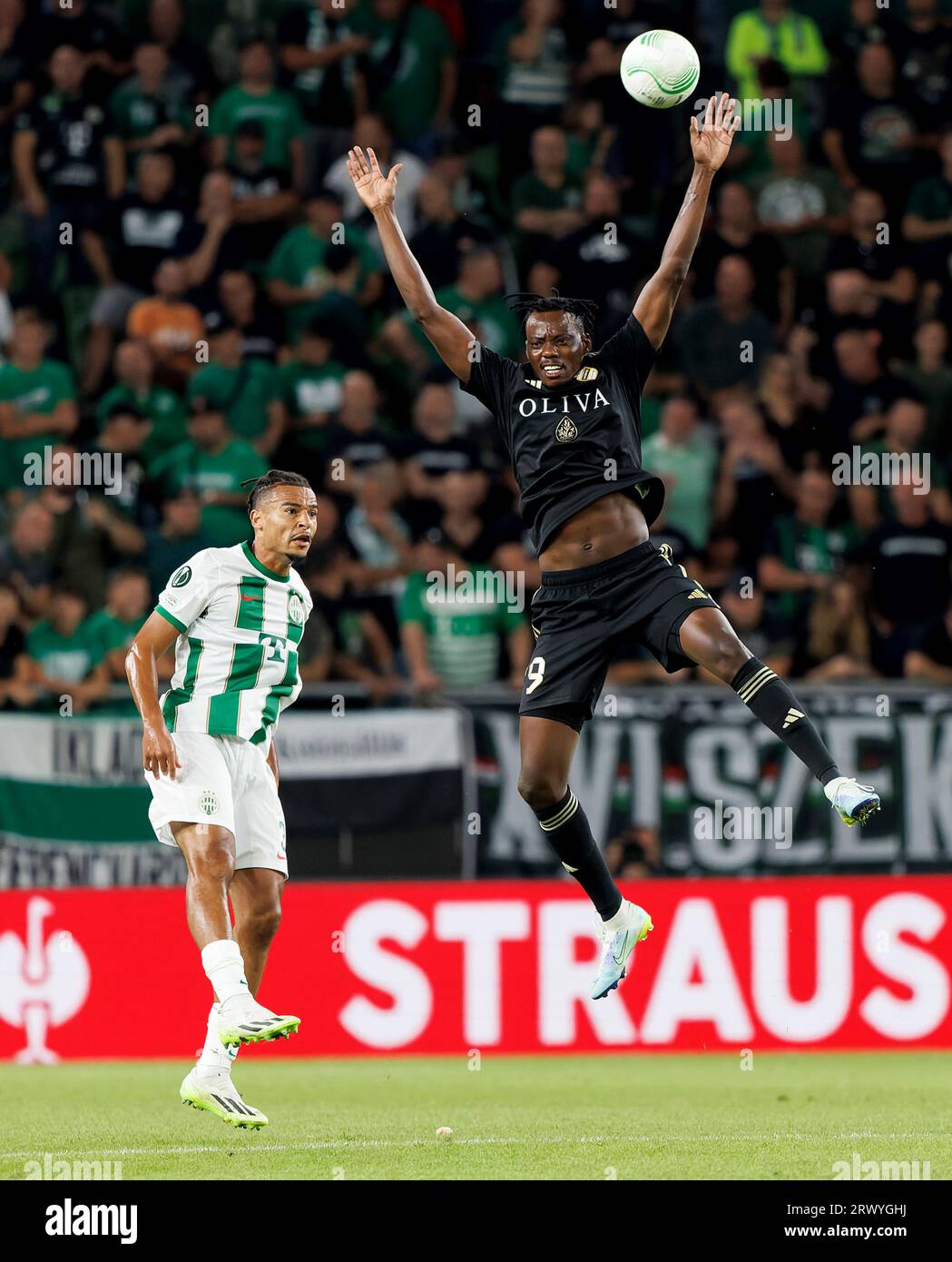 Budapest, Hungary. 21st September, 2023. Dejan Stankovic, head coach of Ferencvarosi  TC reacts during the UEFA Europa Conference League 2023/24 Group F match  between Ferencvarosi TC and FK Cukaricki at Groupama Arena