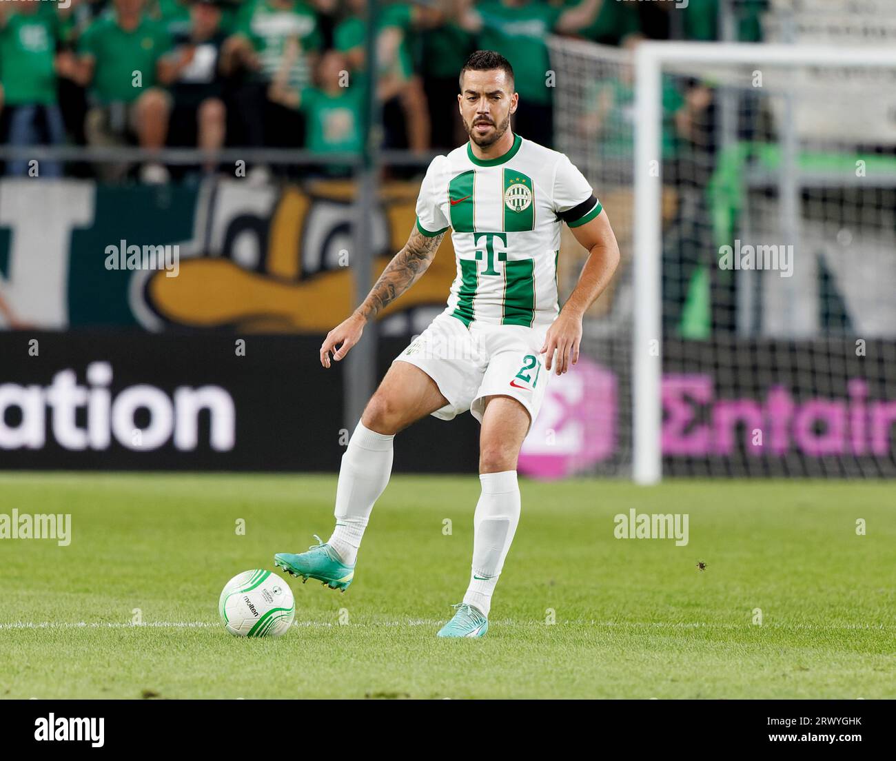 Budapest, Hungary. 21st September, 2023. Dejan Stankovic, head coach of Ferencvarosi  TC reacts during the UEFA Europa Conference League 2023/24 Group F match  between Ferencvarosi TC and FK Cukaricki at Groupama Arena